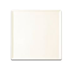 Тарелка Ginger квадратная 14x14 см, AllSpice, Rak Porcelain