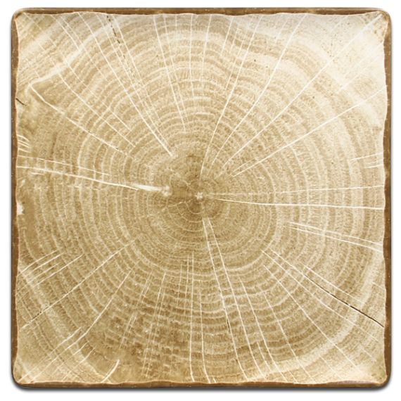 Тарелка квадратная плоская зеленая 30,2x30,2 см, WoodArt, Rak Porcelain