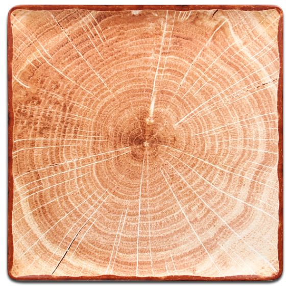 Тарелка квадратная плоская красно-коричневая 30,2x30,2 см, WoodArt, Rak Porcelain
