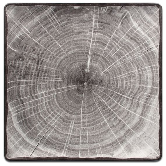 Тарелка квадратная плоская серая 30,2x30,2 см, WoodArt, Rak Porcelain